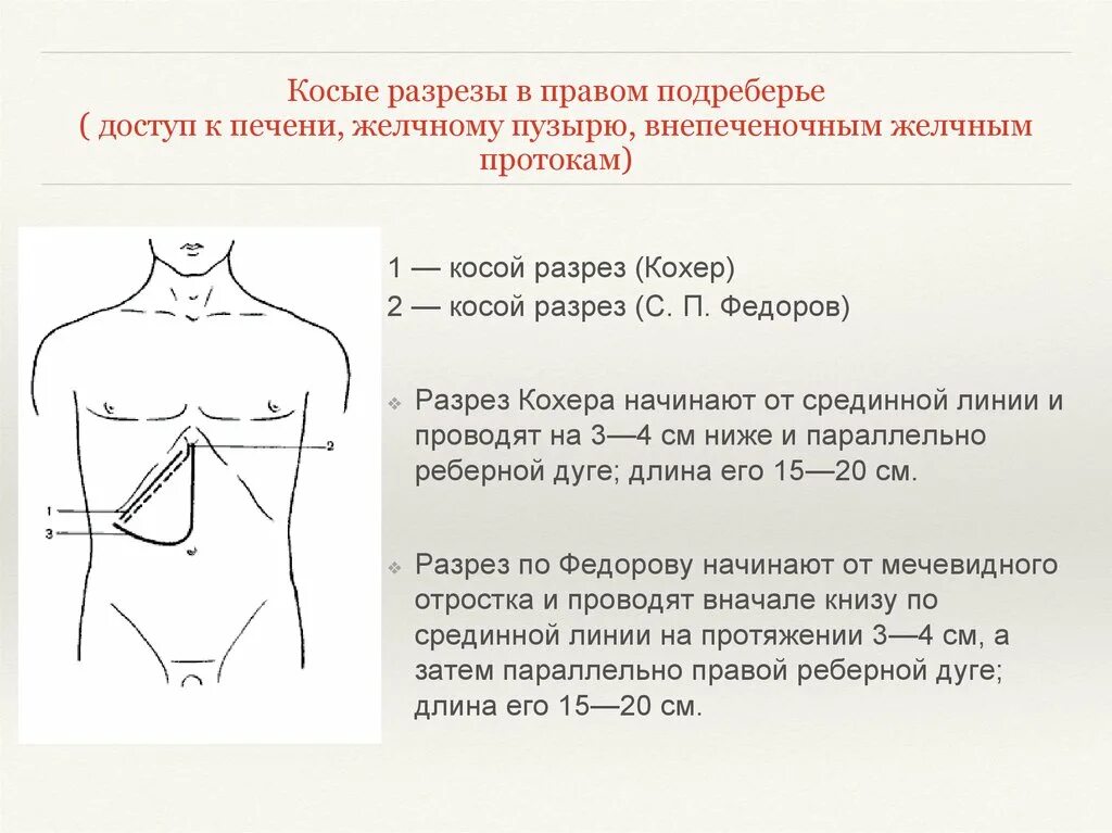 Проекция желчного пузыря на переднюю брюшную стенку