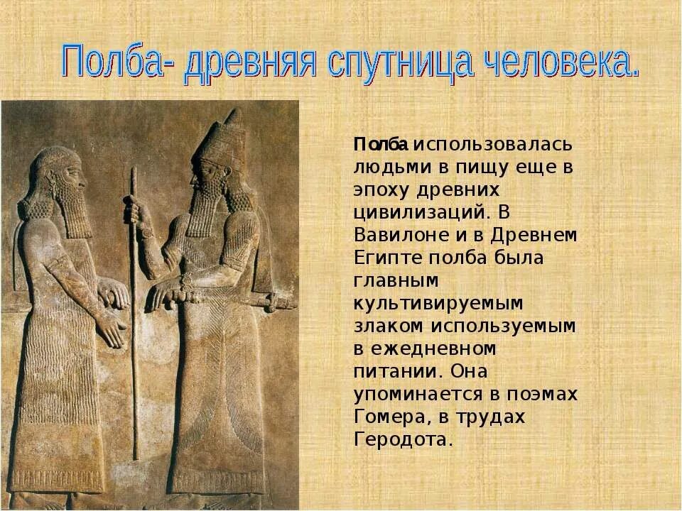 Юристами в древнейшую эпоху были