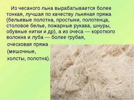 Очеса это