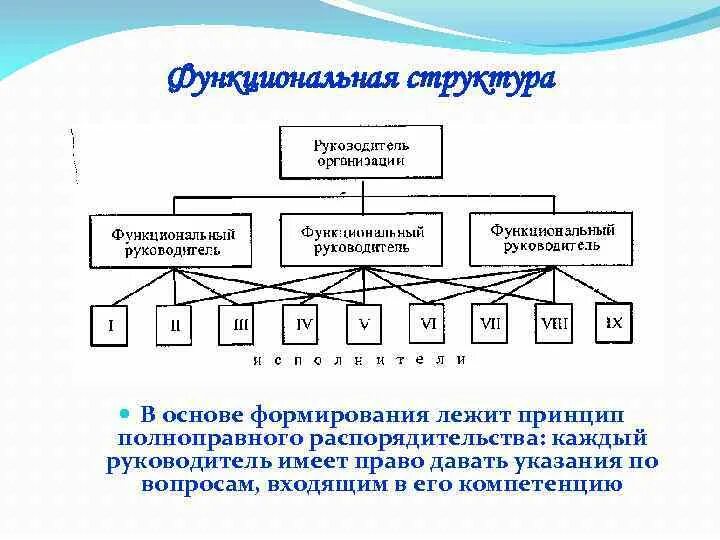 Принципы формирования функциональных структур. Структурно функциональная структура семьи. Понятие организации, структура организации. Какие принципы лежат в основе формирования дивизиона. Функциональная основа организации