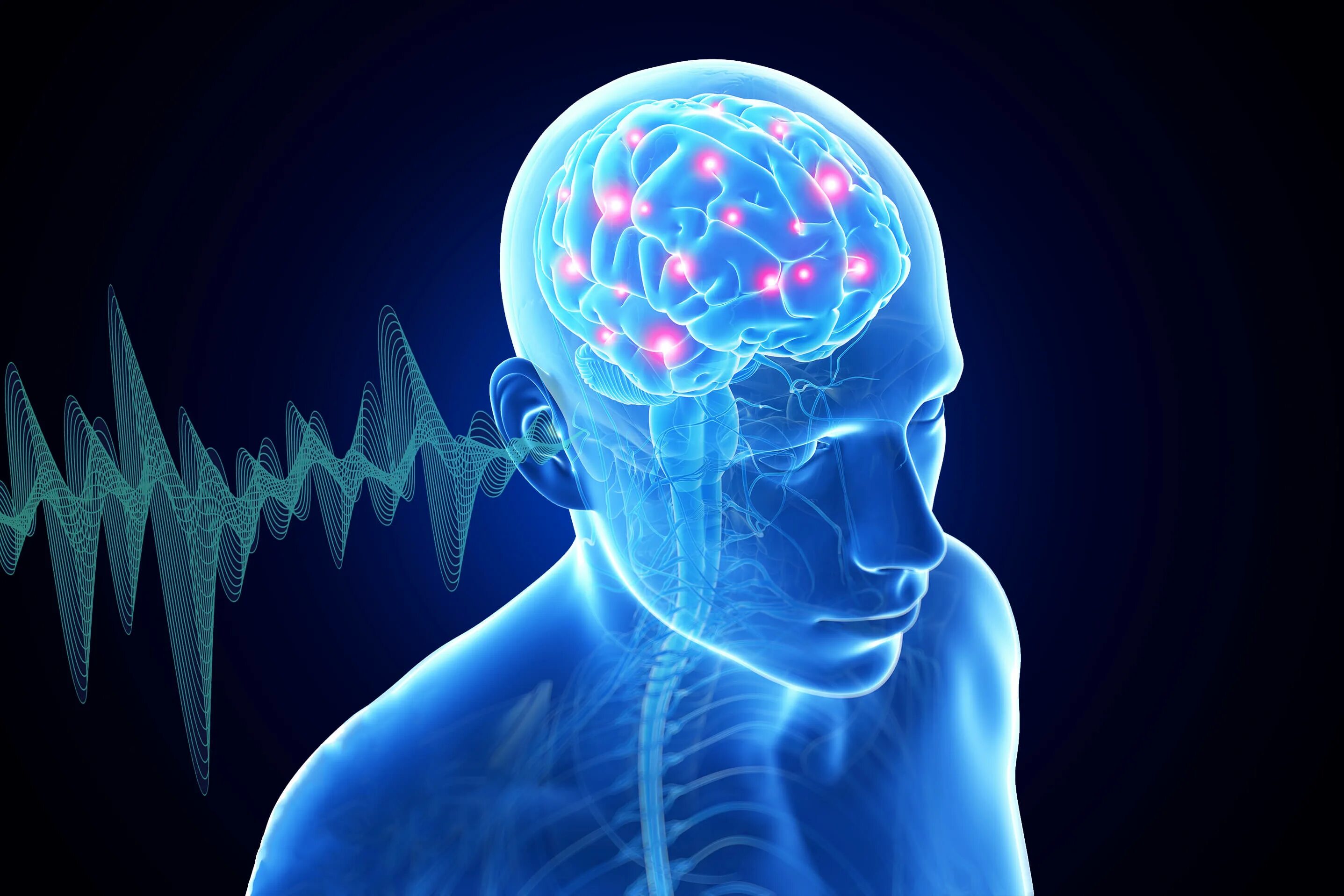 Симуляция психических расстройств. Мозг человека и звуковые волны. Мозг и слух.