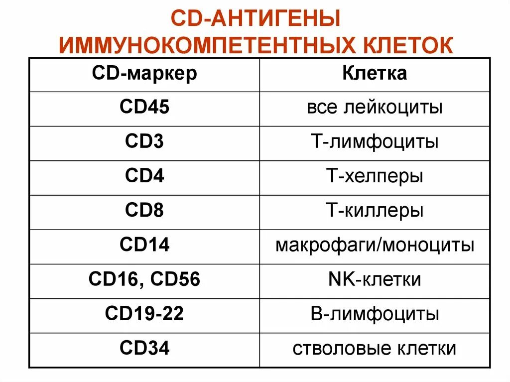 CD маркеры иммунология. СД антигены иммунология. CD маркеры иммунология таблица. Сд3 лимфоциты.