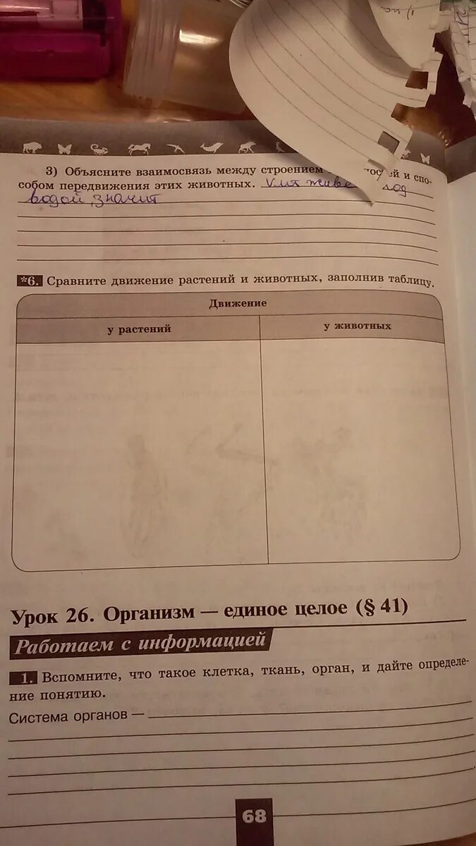 Проведите наблюдение за передвижением животных заполните таблицу. Сравните движение растений и животных. движение растений и животных таблица. сравнение движения растений и животных. таблица сравнения движения растений и животных.