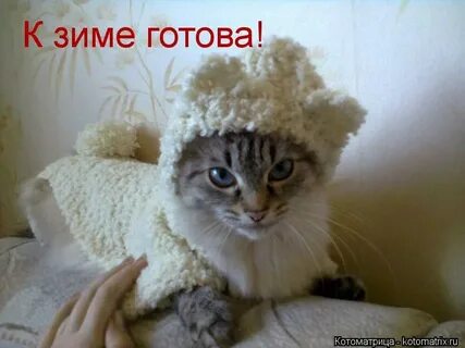 Вдруг похолодало