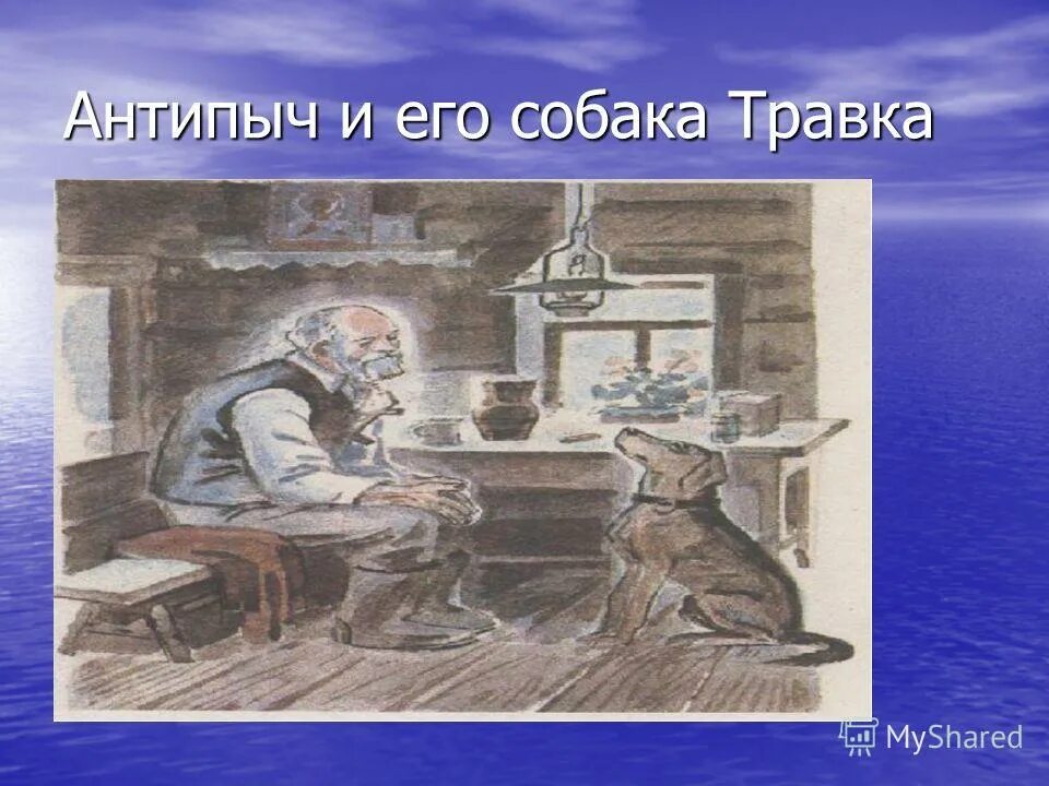 кладовая солнца иллюстрации. пришвин м. антипыч кладовая солнца. травка собака антипыча. антипыч и травка кладовая солнца.