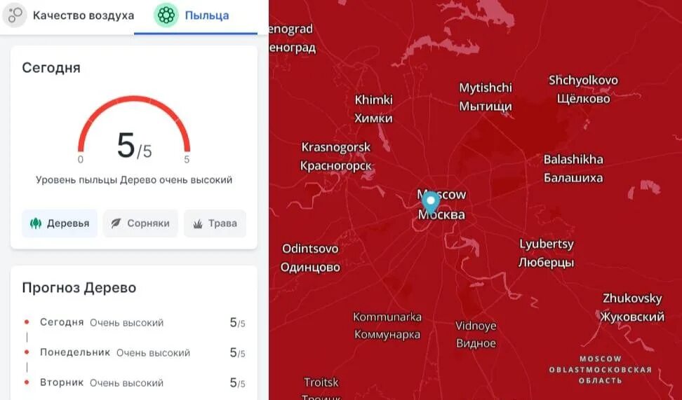 Концентрация пыльцы. Уровень пыльцы в воздухе. Карта пыльцы для аллергиков Москва. Уровень пыльцы в Москве. Уровень пыльцы в воздухе сегодня.