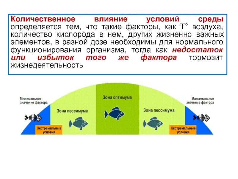 Содержание кислорода среда обитания. Влияние количественного фактора. как определить количественное влияние факторов. такие факторы как. зависимость размера насекомых от количества кислорода.