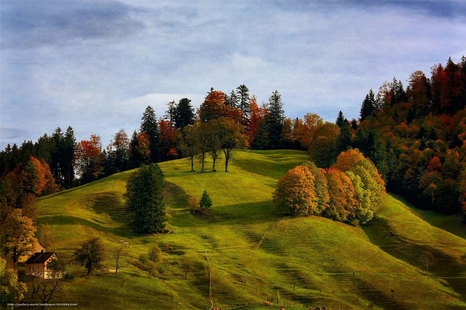 справа над лесистыми холмами. литва лесистый холм. пасмурный пейзаж. тироль австрия природа. справа над лесистыми холмами.