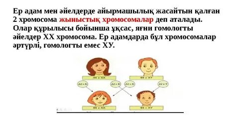 Ежелгі Римдегі секс фильмі