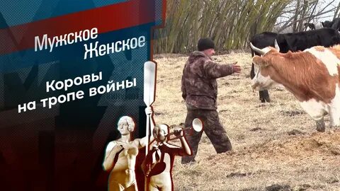 Мужчина скотина