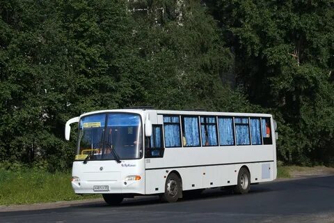 Кавз 4238 41