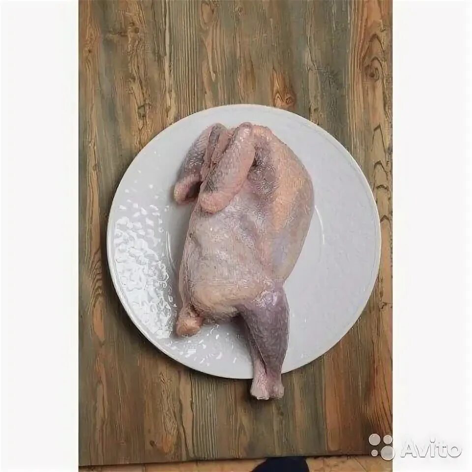 Цесарка масса. Цесарки вес взрослой. Цесарка птица вес. Цесарки вес. Таблица роста бройлерной цесарки.