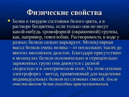 Белка свойства животного