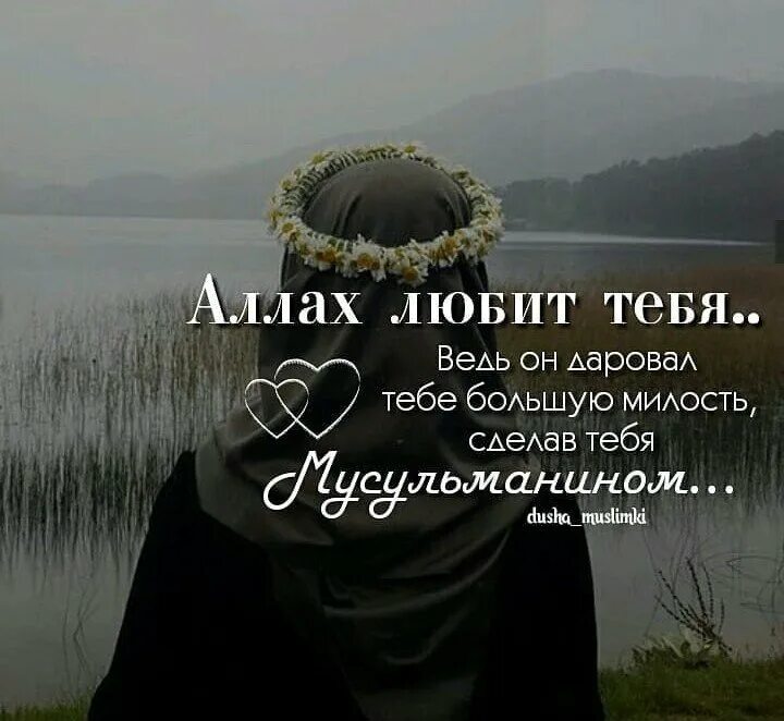 Дождь в исламе. Дождь это милость аллаха цитаты. исламские цитаты про дождь. дождь это милость аллаха. дождь это милость всевышнего.