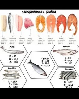 Полезная рыба для человека топ 10 самая