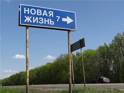 Новая жизнь где находится