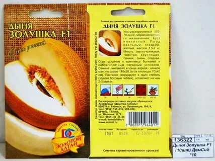 Дыня золушка