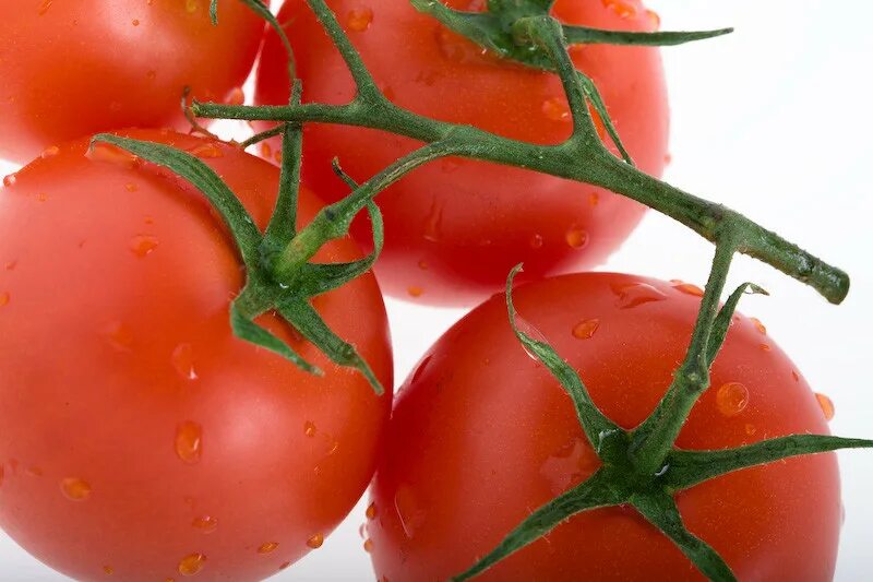 сорт томата японка. томат японский трюфель оранжевый. помидоры сорт мечта великана. томат трюфель желтый. помидор японка минусинская.