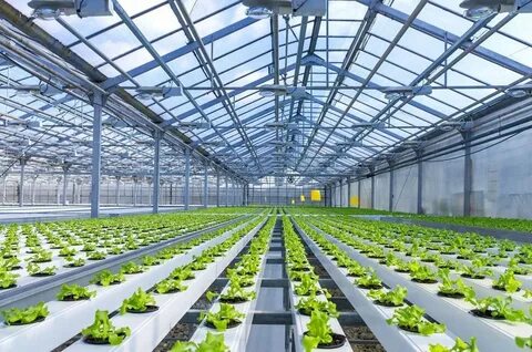 Modern farming