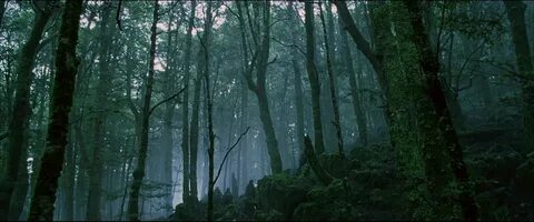Чем дальше в лес перевод