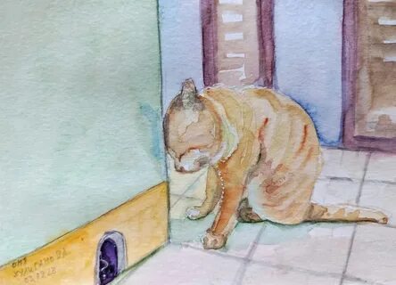 Кот за углом песня