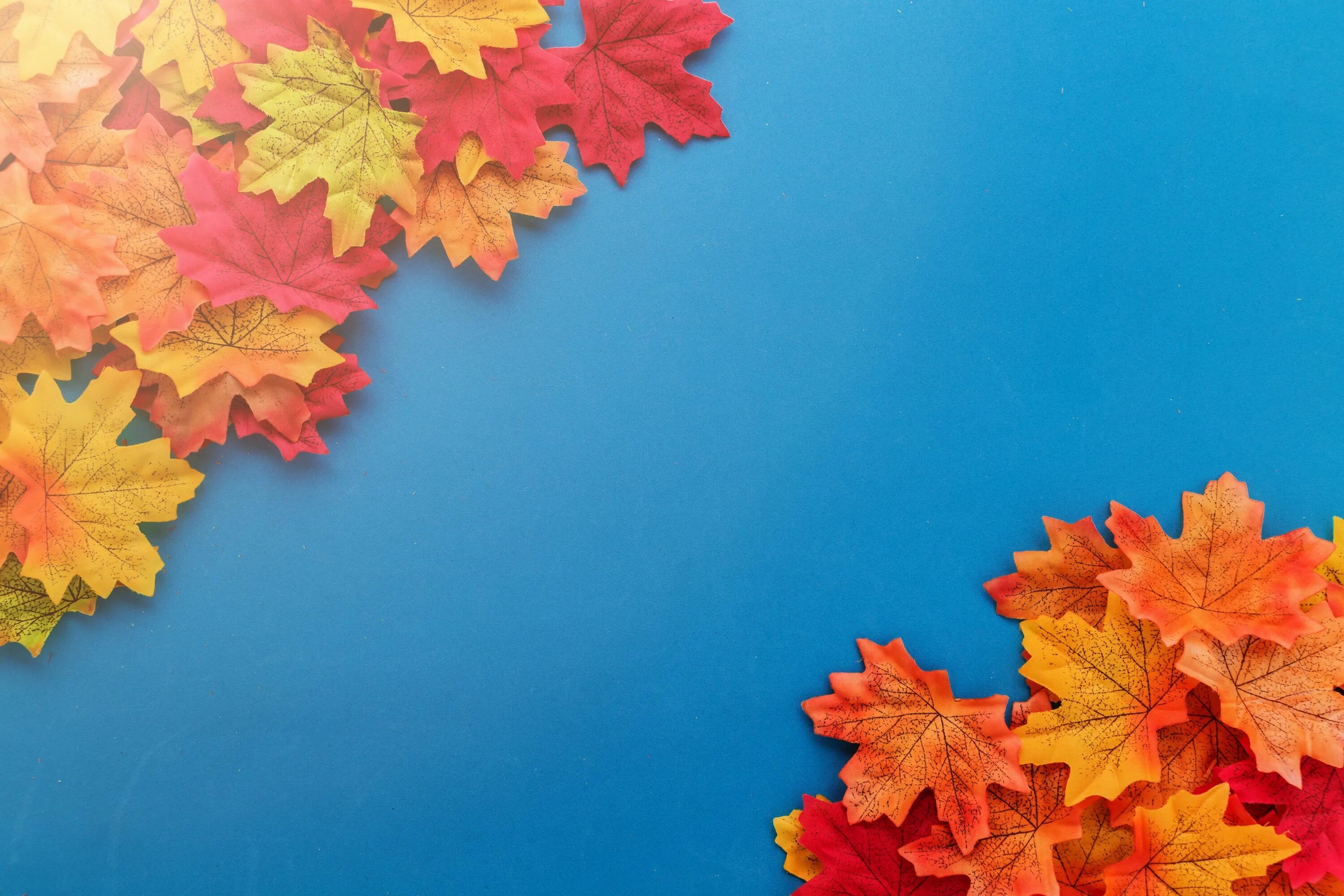 Фон листья осень. Глобус с осенними листьями. Осенние листья. Осенние листья школа. Колокольчик с осенними листьями.