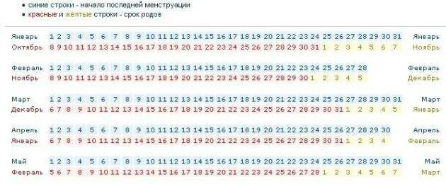 24 неделя дата. Акушерская таблица беременности. Дата родов по неделям беременности. Срок беременности по неделям и дням. Сроки беременности по неделям и месяцам.