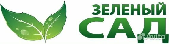 Зелен сад 30. ООО зеленый сад. Зеленый сад logo. Зеленый сад Астрахань. Компания зеленый сад логотип.