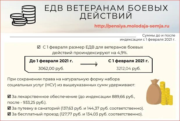 Мера социальной поддержки вбд