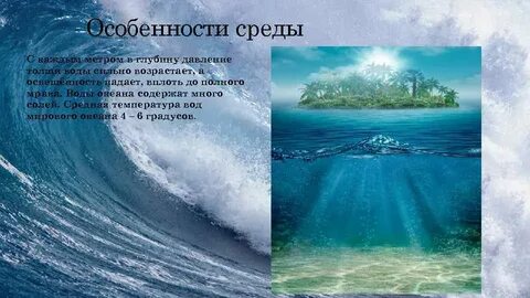 Среда обитания океана