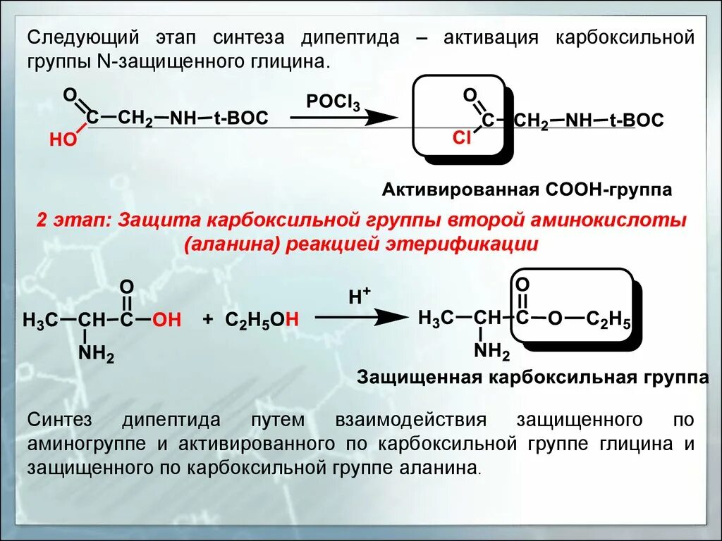 Синтез n концевого дипептида. Защита карбоксильной группы. Активация карбоксильной группы. Синтез полипептида реакция. Реакции по карбоксильной группе