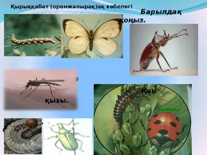 Эндрю Блейктің толық метражды порно фильмдерін HD форматында онлайн көріңіз