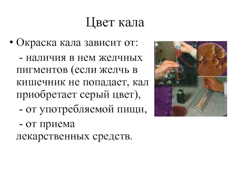 Кал при желчном пузыре. На окраску кала влияют.