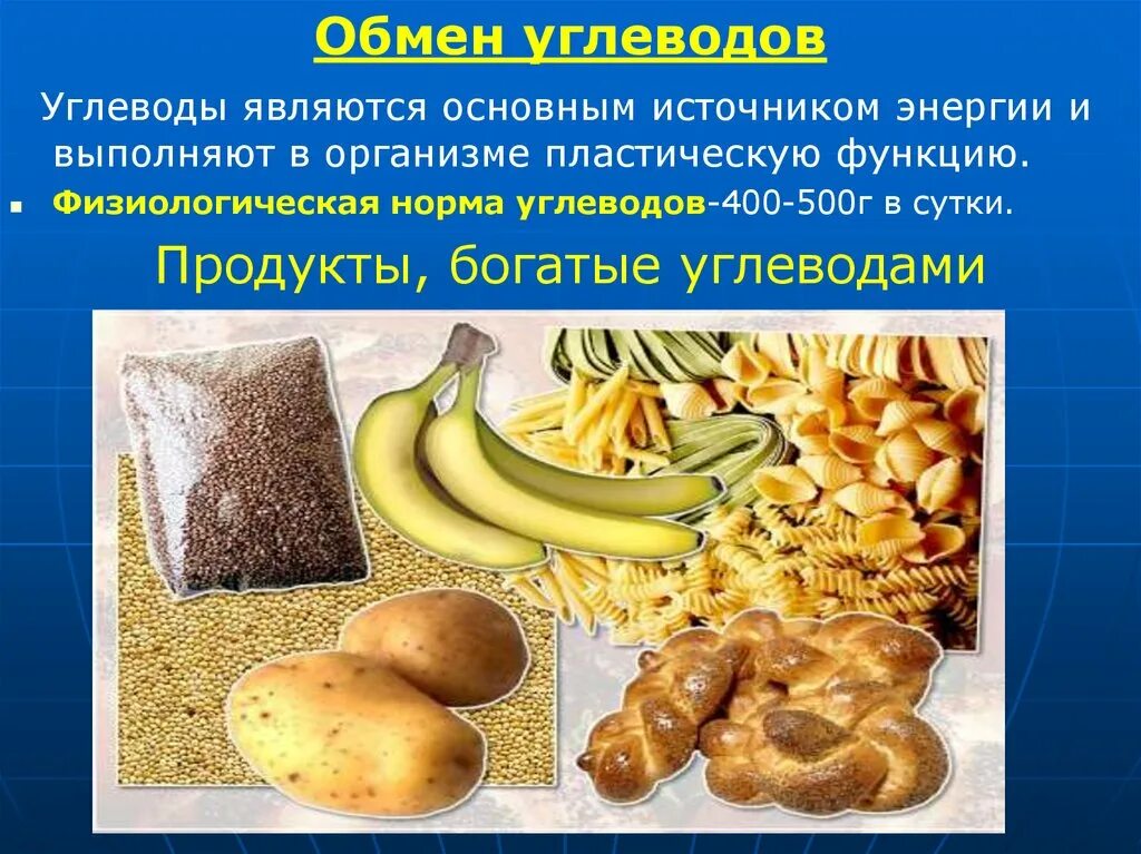 Основным источником белков является. Обмен углеводов. Продукты богатые углеводами. Продукты богатые урглеводом. Обмен веществ углеводов.