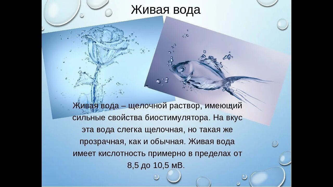 Живая вода. Тема Живая вода. Характеристика живой воды. Программа Живая вода. Конспект по воде биология 6 класс