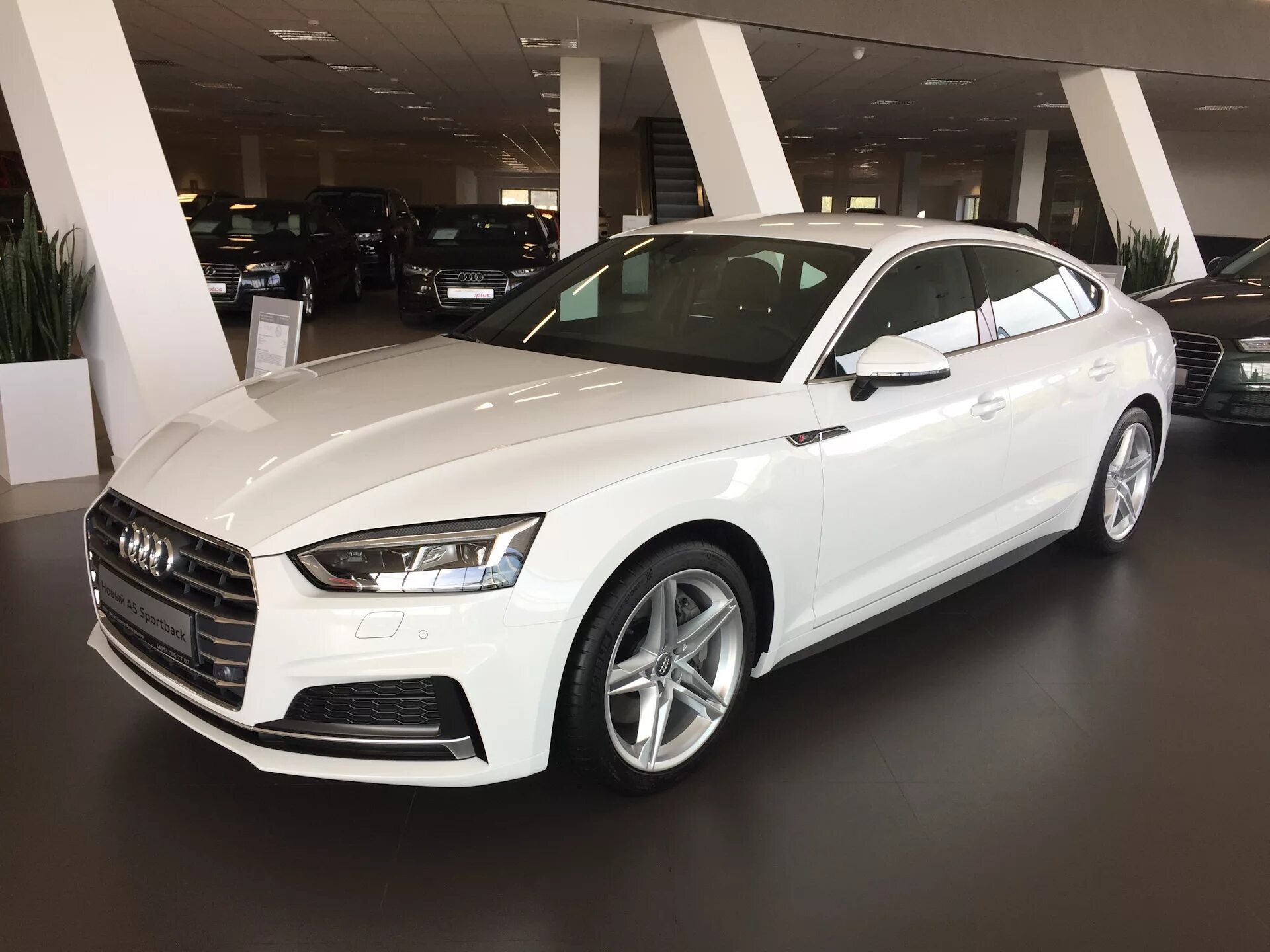 Ауди а4 купить новую. Ауди а5 Спортбэк. Audi a5 Sportback 2017. Audi a5 Sportback а5. Ауди а5 Спортбэк 2021.