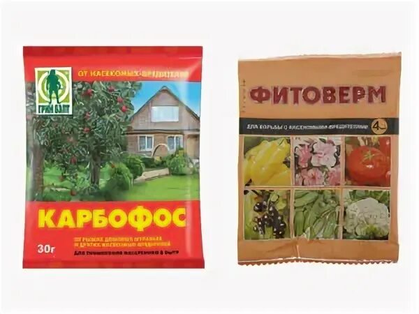 Фитоверм от долгоносика инструкция по применению. Карбофос для клубники. фитоверм от долгоносика. фитоверм от долгоносика на клубнике. как развести актару от долгоносика на клубнику.