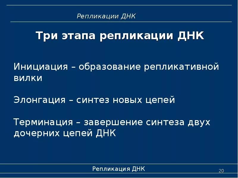 3 этап репликации. Репликация этапы кратко. этапы репликации таблица. этапы репликации днк кратко. этапы репликации днк таблица.