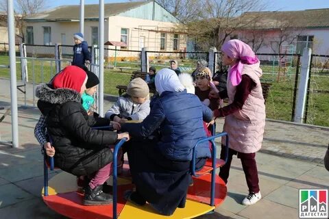 Погода шамхала на 10 дней точный