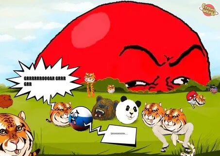 T g e r