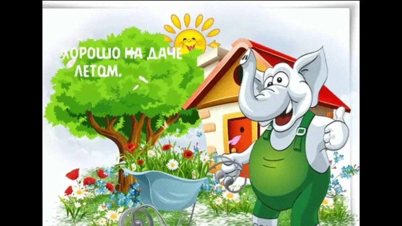 Открытки отдых на даче. Открытки про дачу прикольные. Смешной кот на даче. Кот на даче. Кралю свою отправь пока на дачу.