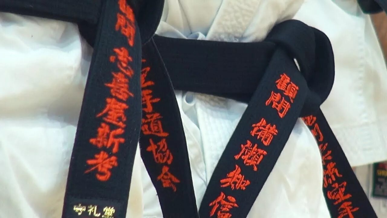 Черный пояс 2007. Каратэ Окинава Годзю Рю. Шиновское карате пояса. Каратэ Окинава Годзю Рю пояса. Каратэ Годзю Рю пояса.