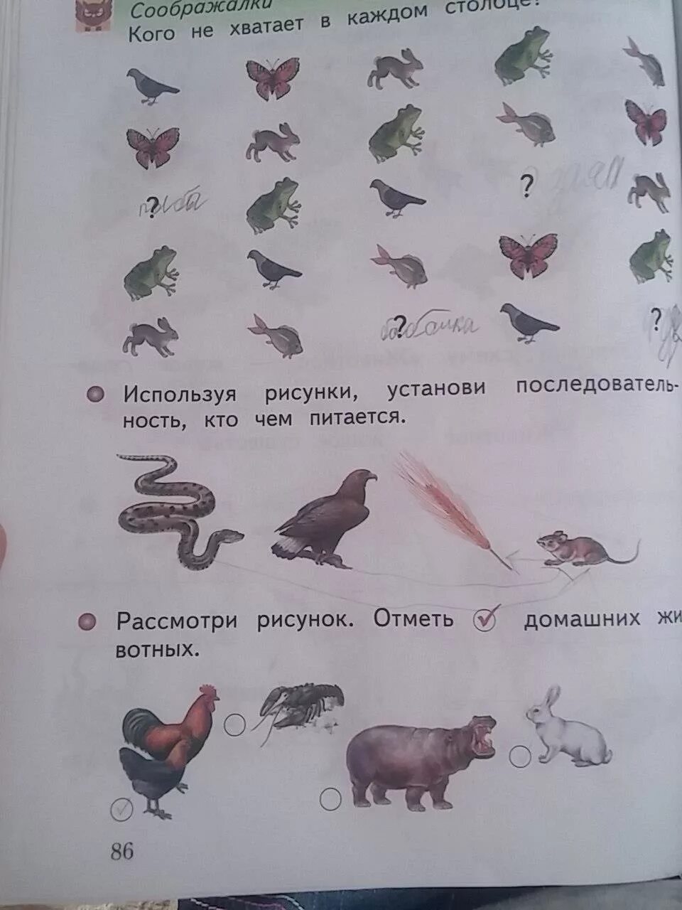 Пользуясь рисунком поставьте. Окружающий мир 1 класс рабочая тетрадь Виноградова. Задания по окружающему миру 1 класс виног. Рабочая тетрадь по окружающему миру 1 класс Виноградова. Окружающий мир 1 класс страница 86.