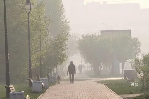 Гарь на улице
