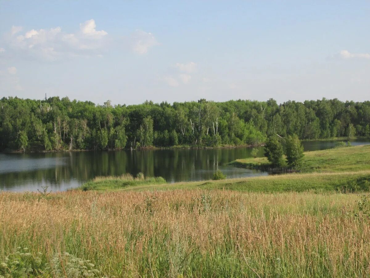 Ровно владимировка. Домашка (нижний приток самары). озеро сосновый затон самарская область. река домашка. озеро в ровно владимировке.
