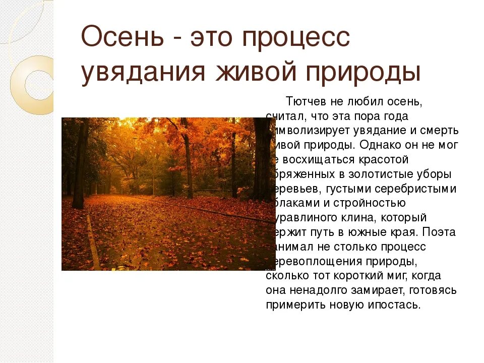 Стихотворение есть в осени тютчев анализ. Осенние стихотворения Тютчева. Осенний вечер Тютчев. Природа осень в поэзии Тютчева. Фёдор Иванович Тютчев осенний вечер.