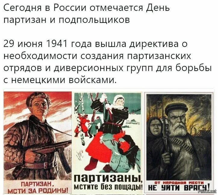 Партизаны откуда слово. Значение слова партизан. Партизанское движение 1812. Партизаны откуда слово. Кто такие партизаны.