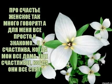 Стихотворение удачи