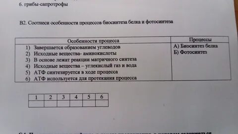 Соотнесите героев произведения