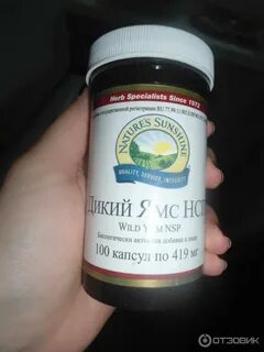 Дикий ямс